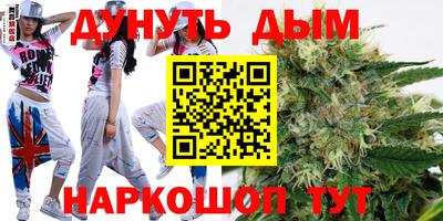 гашик Дубна