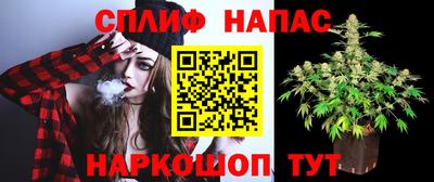 гашик Дубна