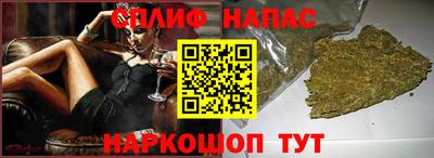гашик Дубна