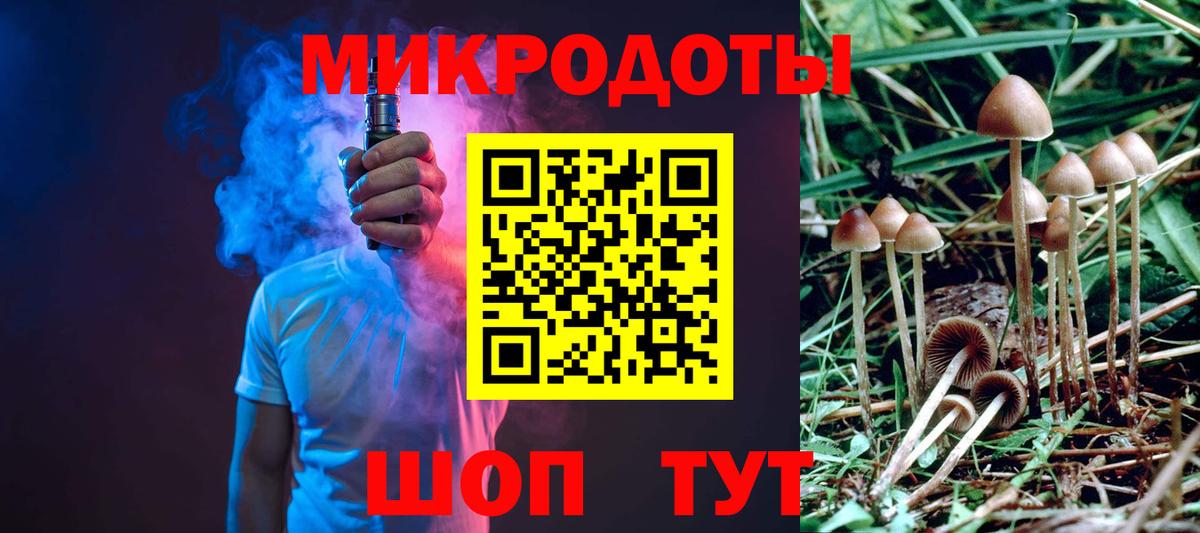 Псилоцибиновые грибы мухоморы Новороссийск